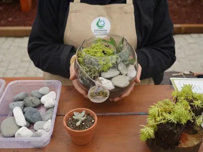 TERARYUM ETKİNLİĞİ